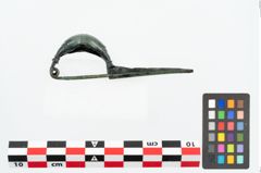 Foto von Bronzekahnfibel (NHMW-PRAE-026195)